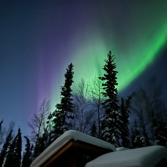 Meet your Posher, Amanda - Picture 5 of 7